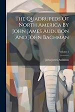 The Quadrupeds Of North America By John James Audubon And John Bachman; Volume 2 