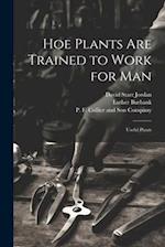 Hoe Plants are Trained to Work for Man; Useful Plants 