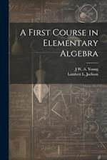 A First Course in Elementary Algebra 