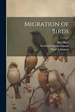 Migration of Birds 