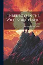 Three Boys in the Wild North Land 