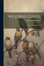 Wild Bird Guests: How to Entertain Them 