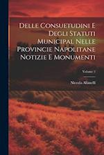 Delle Consuetudini e Degli Statuti Municipal Nelle Provincie Napolitane Notizie e Monumenti; Volume 1 
