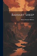 Barbary Sheep 