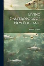 Living Gasteropods of new England 