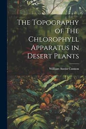 The Topography of The Chlorophyll Apparatus in Desert Plants