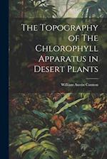 The Topography of The Chlorophyll Apparatus in Desert Plants 