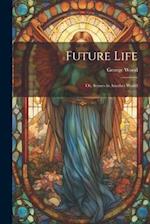 Future Life: Or, Scenes in Another World 