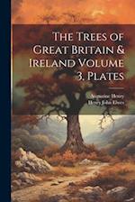 The Trees of Great Britain & Ireland Volume 3, Plates 