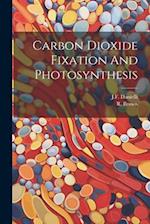 Carbon Dioxide Fixation And Photosynthesis 