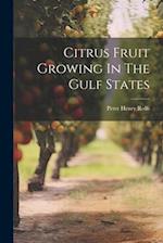 Citrus Fruit Growing In The Gulf States 