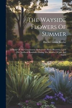 The Wayside Flowers Of Summer: A Study Of The Conspicuous Herbaceous Plants Blooming Upon Our Northern Roadsides During The Months Of July And August
