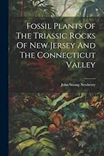 Fossil Plants Of The Triassic Rocks Of New Jersey And The Connecticut Valley 