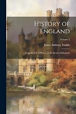 History of England: From the Fall of Wolsey to the Death of Elizabeth; Volume 2 