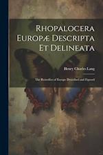Rhopalocera Europæ Descripta Et Delineata: The Butterflies of Europe Described and Figured 