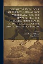 Descriptive Catalogue of the Fossil Remains of Vertebrata From the Sewalik Hills, the Nerbudda, Perim Island, &c. in the Museum of the Asiatic Society