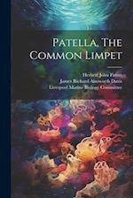 Patella, The Common Limpet 