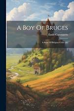 A Boy Of Bruges: A Story Of Belgian Child Life 