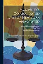 Mckinney's Consolidated Laws of New York Annotated: With Annotations From State and Federal Courts and State Agencies, Book 45 