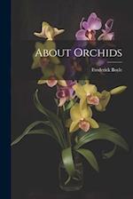 About Orchids 