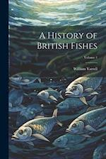 A History of British Fishes; Volume 1 
