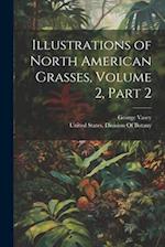 Illustrations of North American Grasses, Volume 2, part 2 