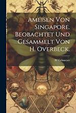 Ameisen von Singapore. Beobachtet und Gesammelt von H. Overbeck. 