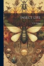 Insect Life 