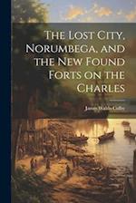 The Lost City, Norumbega, and the new Found Forts on the Charles 