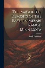 The Magnetite Deposits of the Eastern Mesabi Range, Minnesota 
