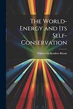 The World-Energy and Its Self-Conservation 