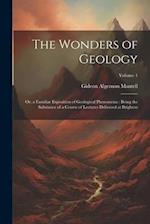 The Wonders of Geology: Or, a Familiar Exposition of Geological Phenomena : Being the Substance of a Course of Lectures Delivered at Brighton; Volume 