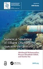 Numerical Simulation of Effluent Discharges