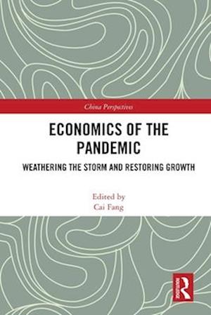 Economics of the Pandemic