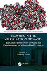 Enzymes in the Valorization of Waste