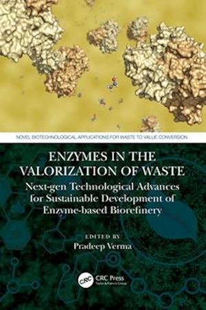 Enzymes in the Valorization of Waste