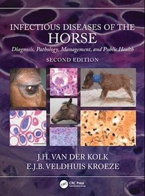 Infectious Diseases of the Horse