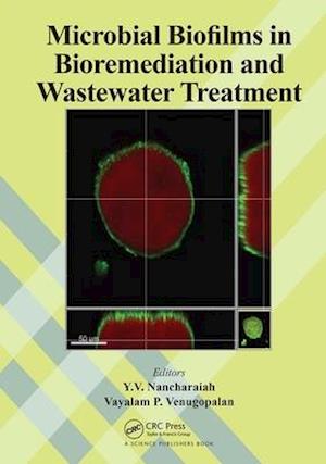 Microbial Biofilms in Bioremediation and Wastewater Treatment