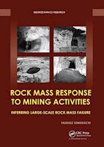 Rock Mass Response to Mining Activities