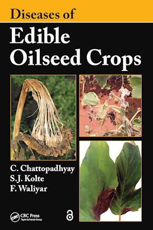 Diseases of Edible Oilseed Crops