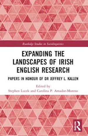 Expanding the Landscapes of Irish English Research