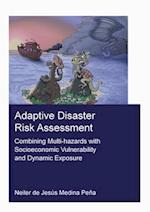 Adaptive Disaster Risk Assessment