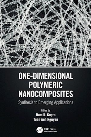 One-Dimensional Polymeric Nanocomposites