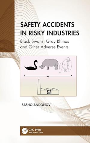 Safety Accidents in Risky Industries