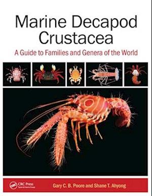 Marine Decapod Crustacea