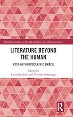 Literature Beyond the Human