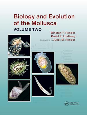 Biology and Evolution of the Mollusca, Volume 2