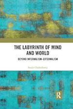 The Labyrinth of Mind and World