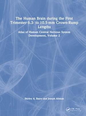 The Human Brain during the First Trimester 6.3- to 10.5-mm Crown-Rump Lengths