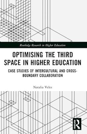 Optimising the Third Space in Higher Education